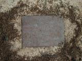image of grave number 595770